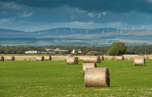 A view of rural Scotland with hay bales and hills in the distance